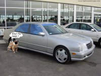 merc copy.jpg