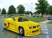 alfasz yellow.jpg