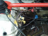 IMG_20110924_162053.jpg