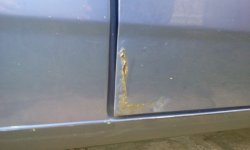 2011-07-05 08.52.27.jpg