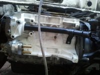 IMG_20110925_185509.jpg
