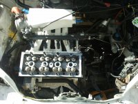 IMG_20110926_114720.jpg