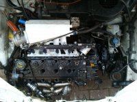 IMG_20110926_184501.jpg