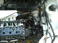 IMG_20110927_182310.jpg
