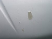 Van Pictures. S5 MVT -(57).JPG