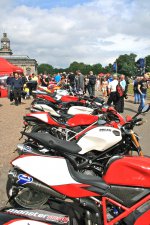IMG_5641.jpg