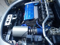 barchetta induction 006.jpg
