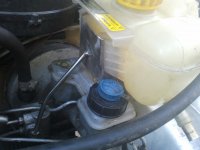 IMG_20110928_175233.jpg