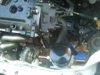IMG_20110928_175242.jpg