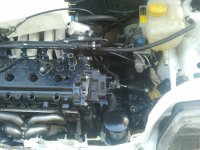 IMG_20110928_175251.jpg