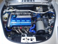 barchetta induction 009.jpg