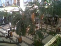 IMG-20120324-00762.jpg