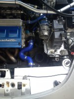 barchetta induction 016.jpg