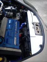 barchetta induction 022.jpg