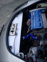 barchetta induction 023.jpg