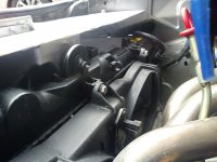 barchetta induction 028.jpg
