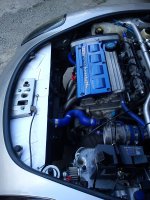 barchetta induction 033.jpg
