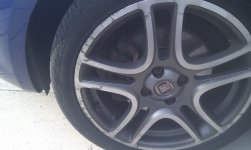 ALLOY.jpg