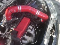 IMG00375-20110313-1300.jpg
