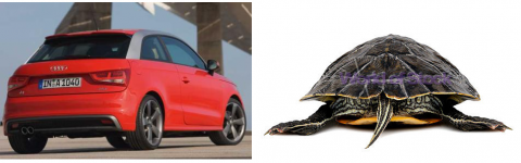 AudiA1-Turtle.png
