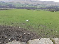 2012-04-07 12.55.11.jpg