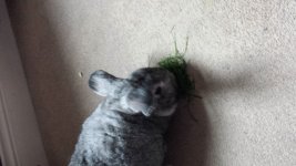 20131203_120901.jpg