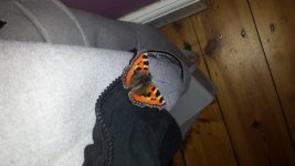 20131204_141240.jpg