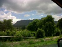 IMG00363-20111223-1043.jpg