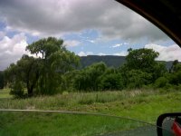 IMG00364-20111223-1043.jpg