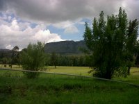 IMG00366-20111223-1043.jpg