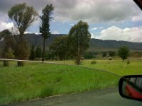 IMG00367-20111223-1043.jpg