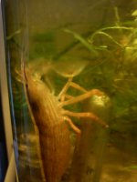 IMG_20120202_161150.jpg