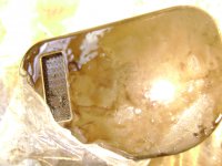 DSC06937.JPG