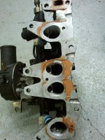 IMG_20111030_180059.jpg