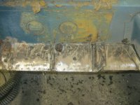 IMG_5455.JPG