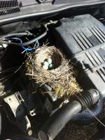 ImageUploadedByFIAT Forum1398900821.562806.jpg