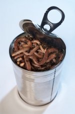 can-o-worms.jpg