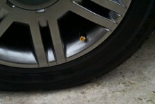 Close up.JPG