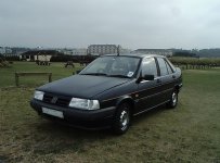 MY tempra.jpg