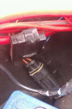 other plug blue wires.jpg