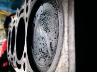 DSC_0902.JPG