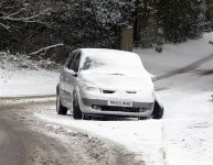 Snow in March.jpg