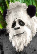 bigfoot panda.jpg