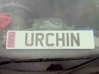 Urchin.jpg