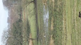 20150315_105240.jpg
