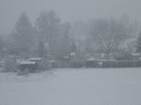 Snow in Riehen.JPG
