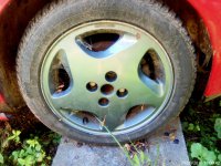 20160924_110941.jpg