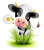 stock-vector-cute-holstein-cow-in-green-grass-115581298.jpg