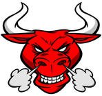 stock-vector-bull-head-207448747.jpg