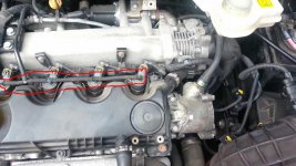 JTD hoses.JPG